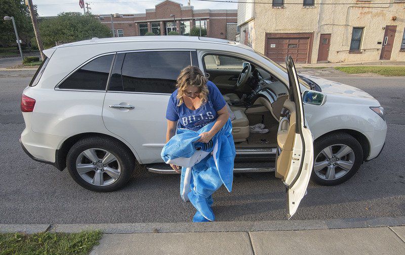 'Canal Shark' sightings reported